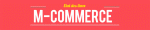 Etat des lieux du « mobile shopping » en France…